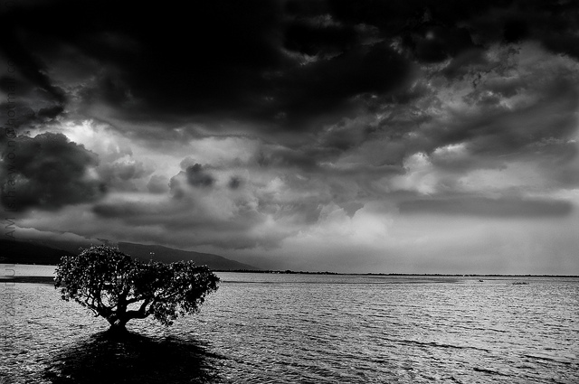 (Mirza Zahidul Alam Shawon / Flickr)