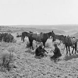 Cowboys in Matador Range, Texas in 1909. Erwin E. Smith