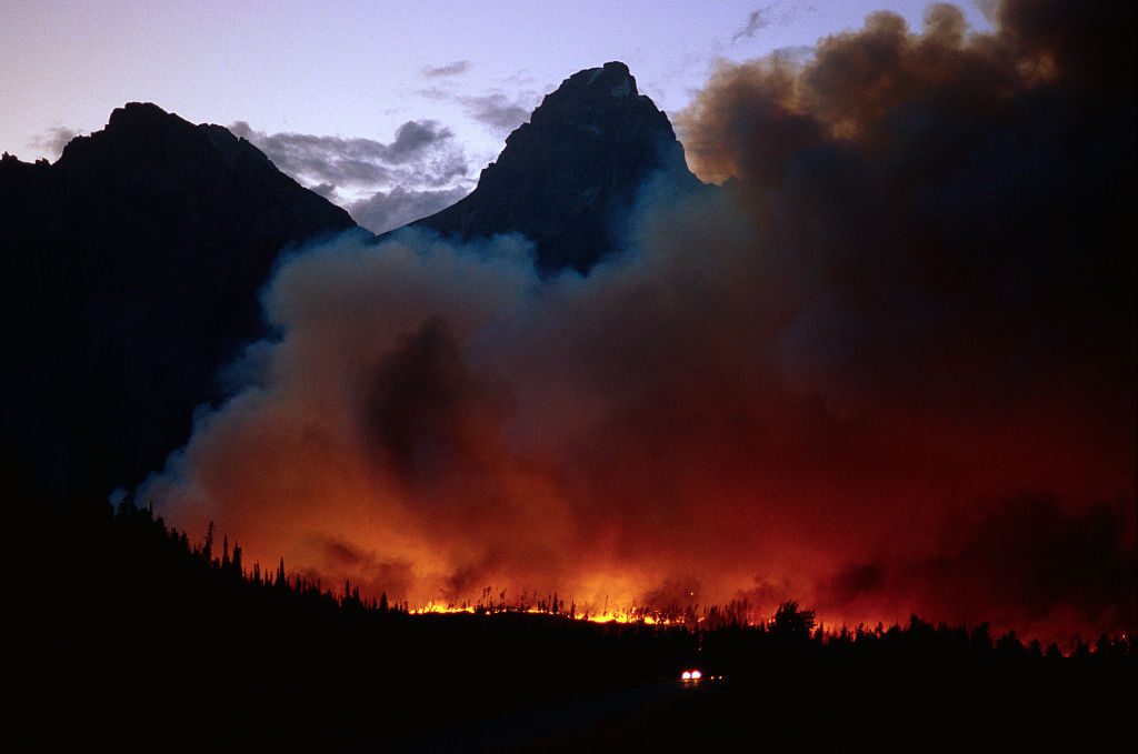 Capitalists Want You to Stop Worrying About Climate Change