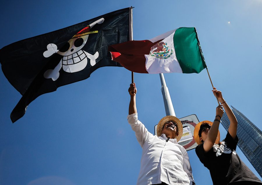 Anime Pirates in Opposition