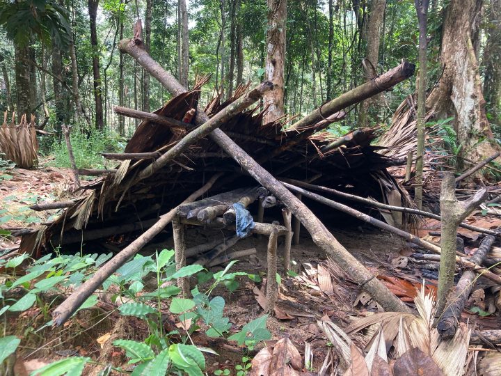 Destroyed wooden structure in the woods.