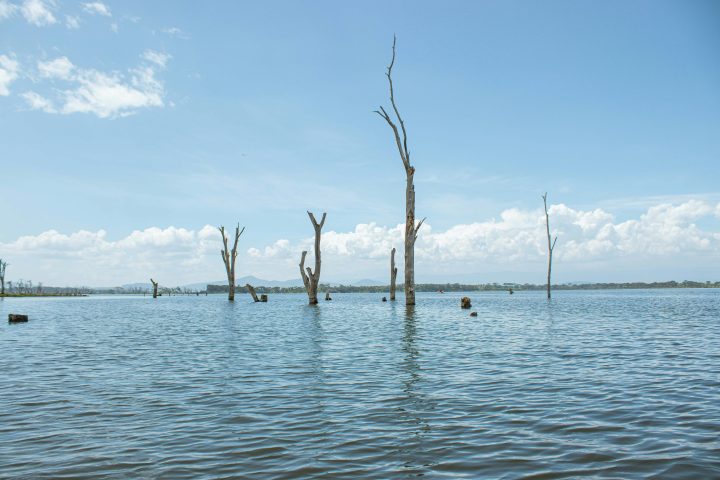 The human cost of Kenya’s expanding lakes