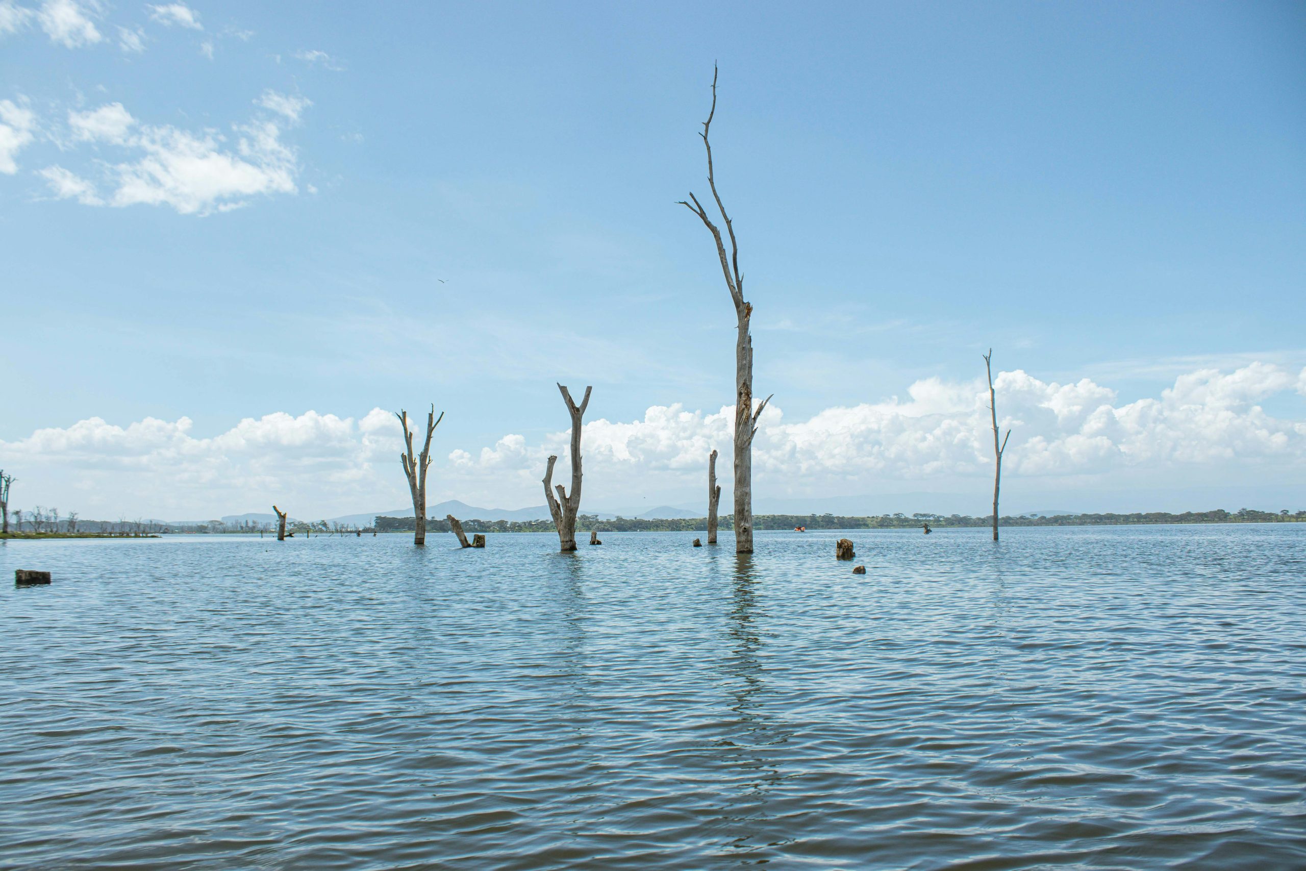 Lake Naivasha, Keny